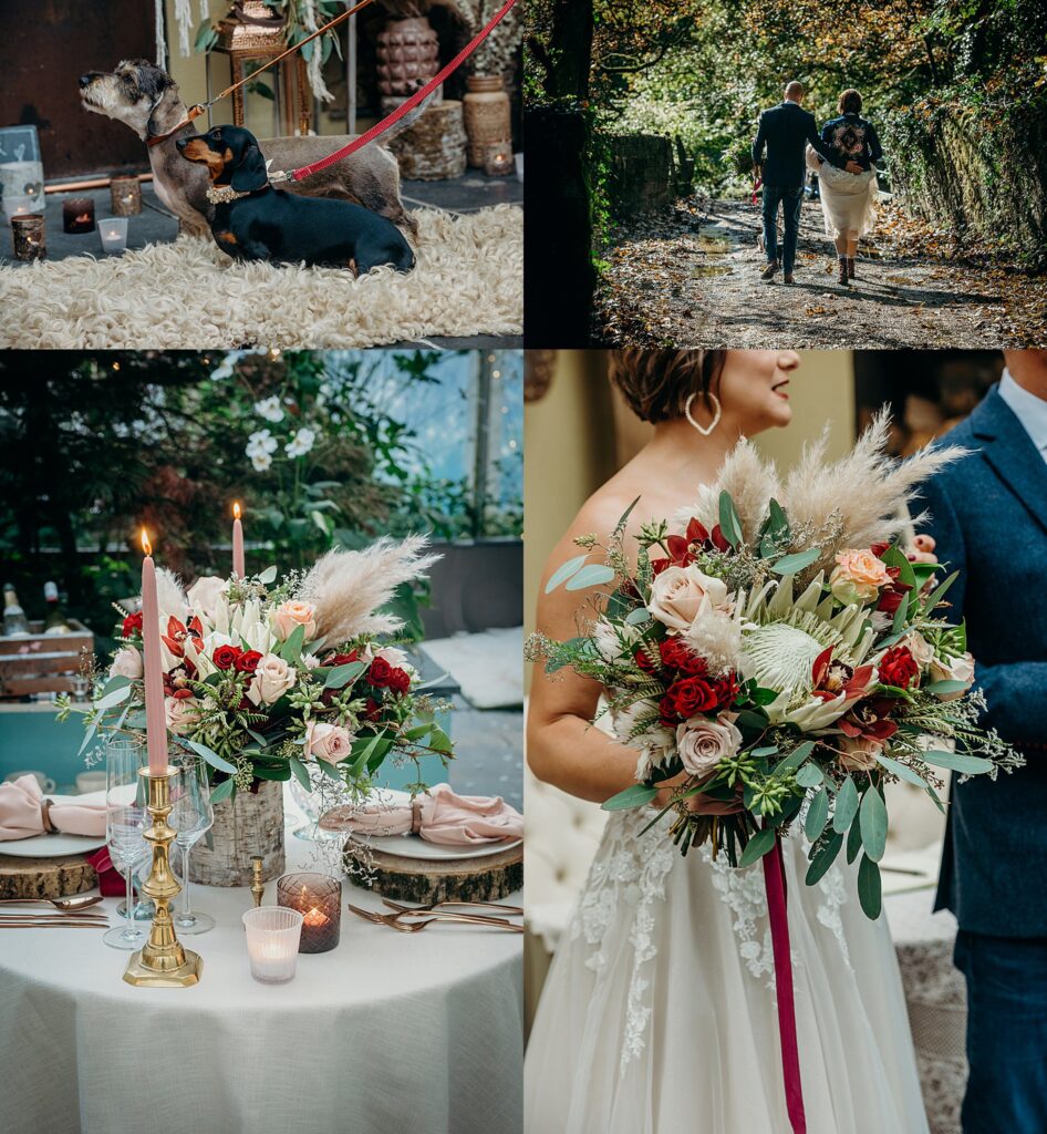 October elopements wedding collage of four photos with two dachshunds on leads stood on sheepskin rug sweetheart table set for two, rear view of wedding couple walking in autumn sun and close up of bridal bouquet with pampas grass and king protea 