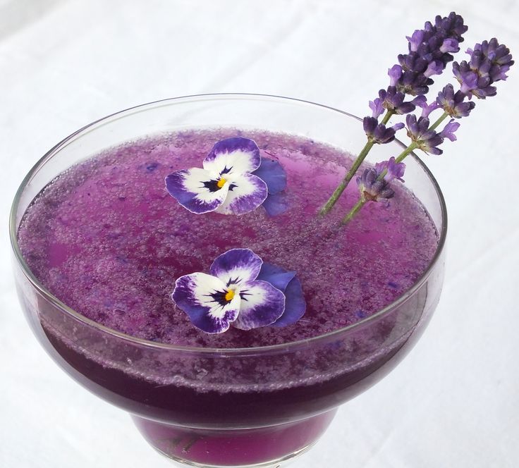 Violet Cocktail. Buy edible flowers for cocktails and drinks from https://maddocksfarmorganics.co.uk/edible-flowers/edible-flowers-cocktail-box/