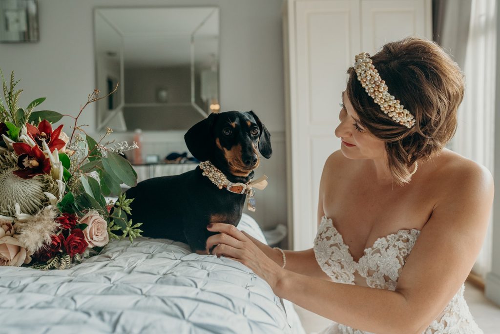 a bride wearing a strapless wedding gown and a pearl tiara kneeling on the floor next to a bed with a daschund dog also wearing a pearl collar and standing next to a bridal bouquet
