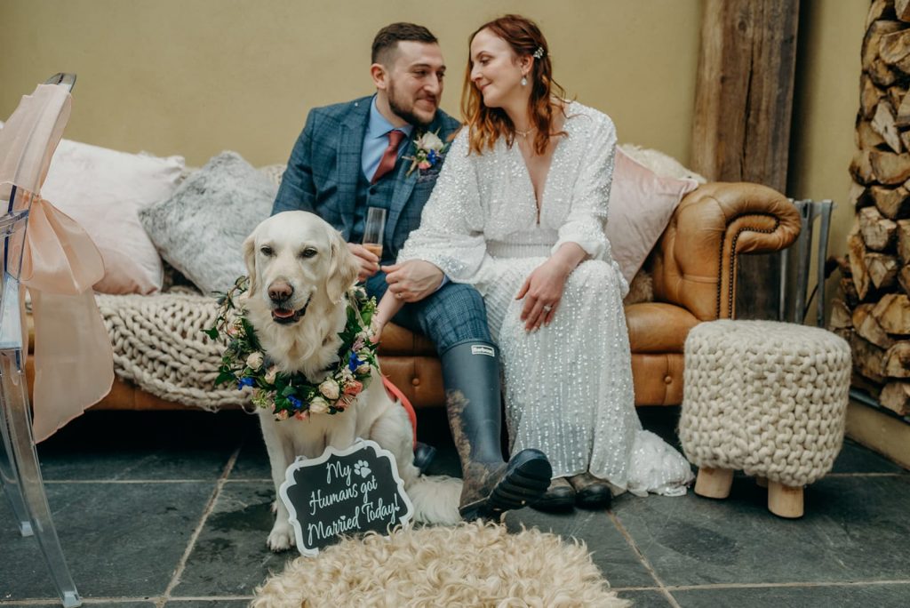 bride and groom sat on a brown leather sofa with a golden retriever dog wearing an elaborate floral wreath with a sign saying my humans got married today
