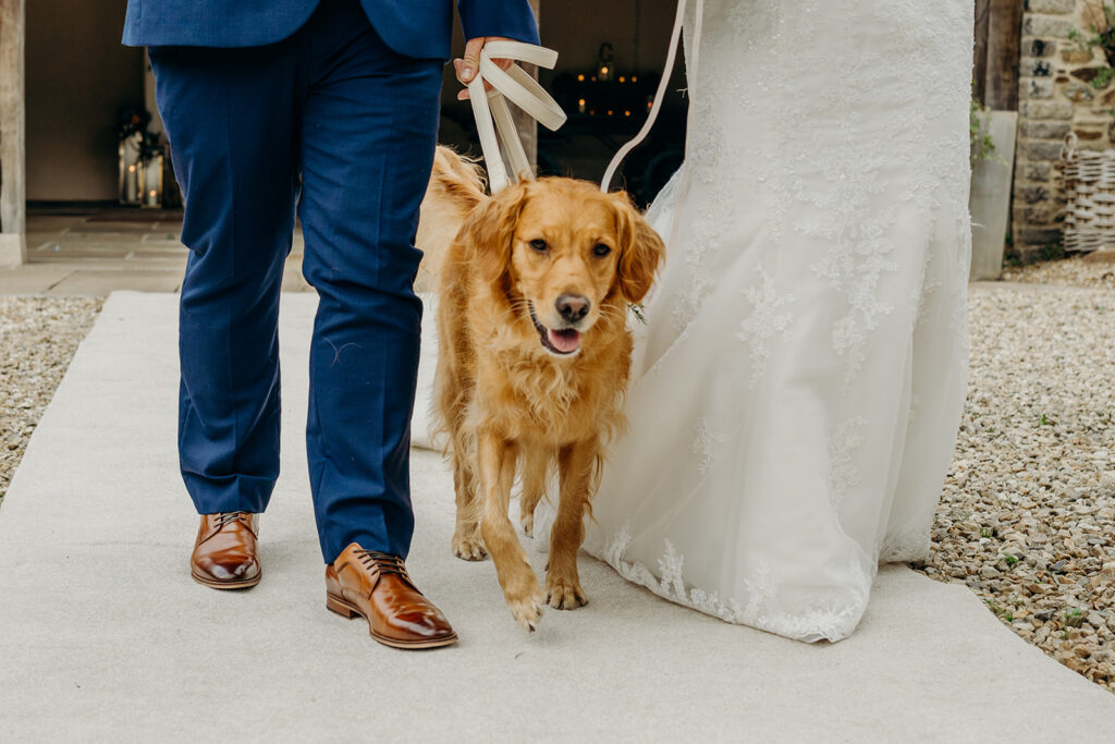 dog's eye view of a wedding