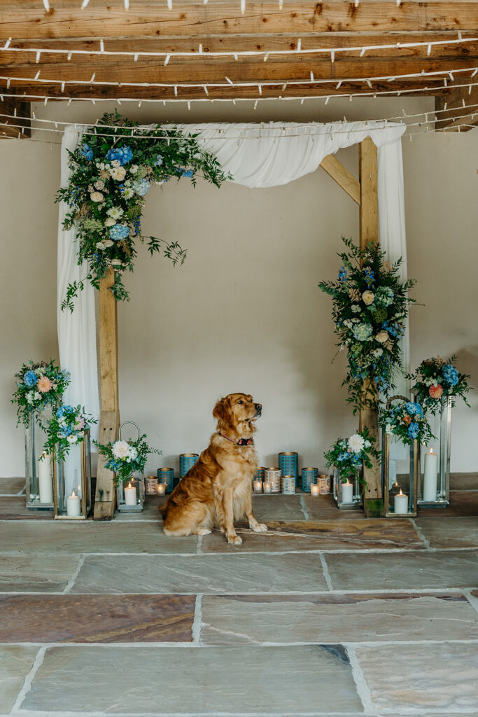 golden retriever dog sat in front of wooden arch draped in fabric with pink and blue flower sprays and lanterns decorated with flowers