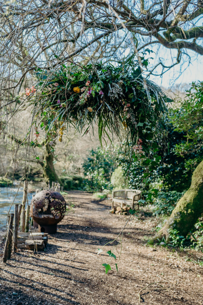 flower cloud hanging from a willow tree on the banks of a Dartmoor river with rusted fire globe