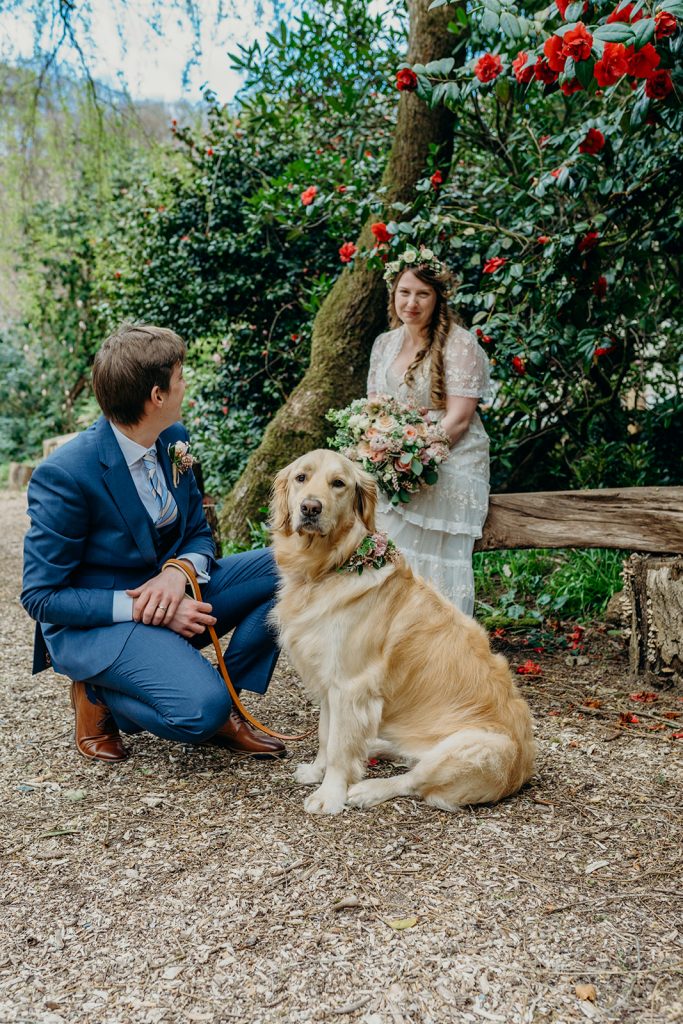 bride sitting on an oak bench under red camellia bush looking at kneeling groom next to gold retriever dog wearing a floral collar 
