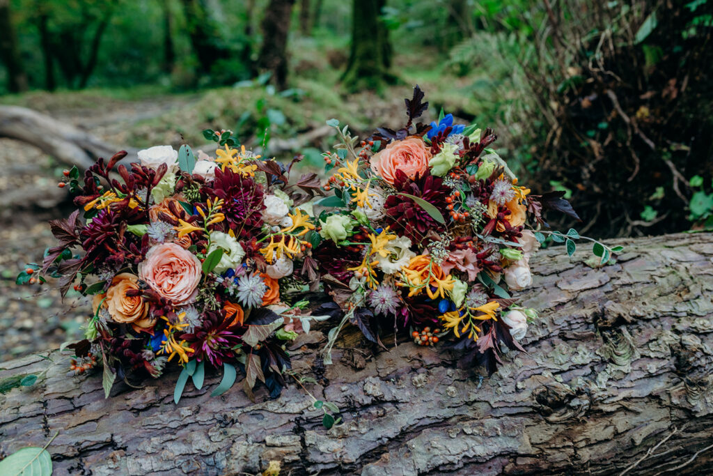 two bridal bouquets in apricot and dark red colours set on a fallen tree outside in a wood 