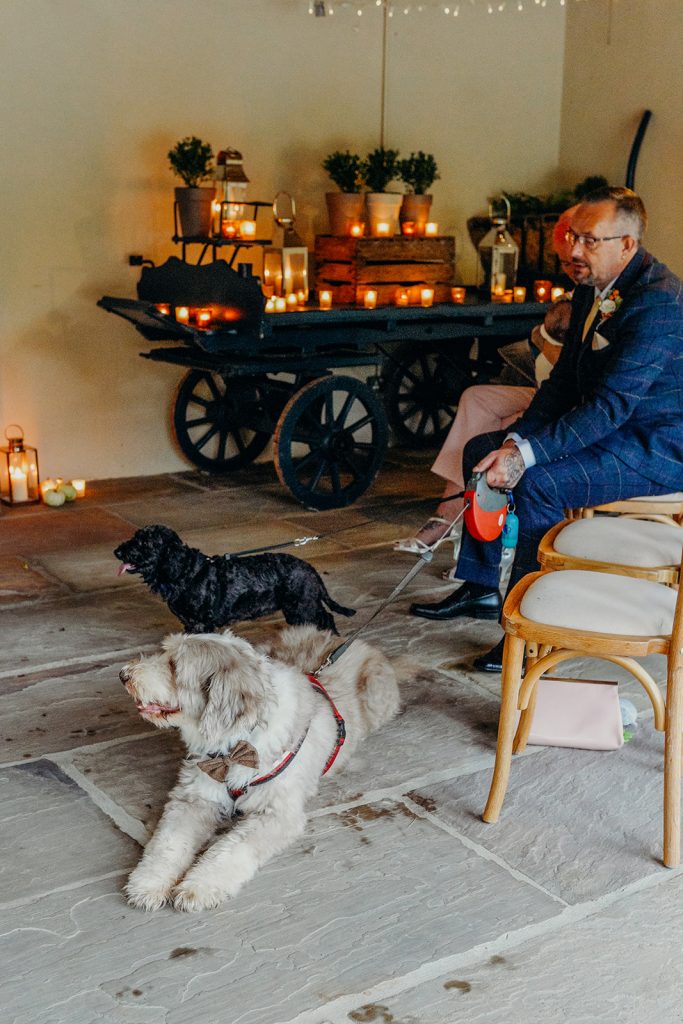 2 dogs on leads watching a wedding ceremony off camera with a backdrop of a painted handcart lit with candles