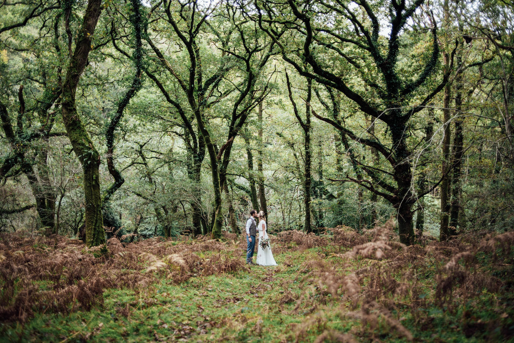 bride groom devon woods autumn