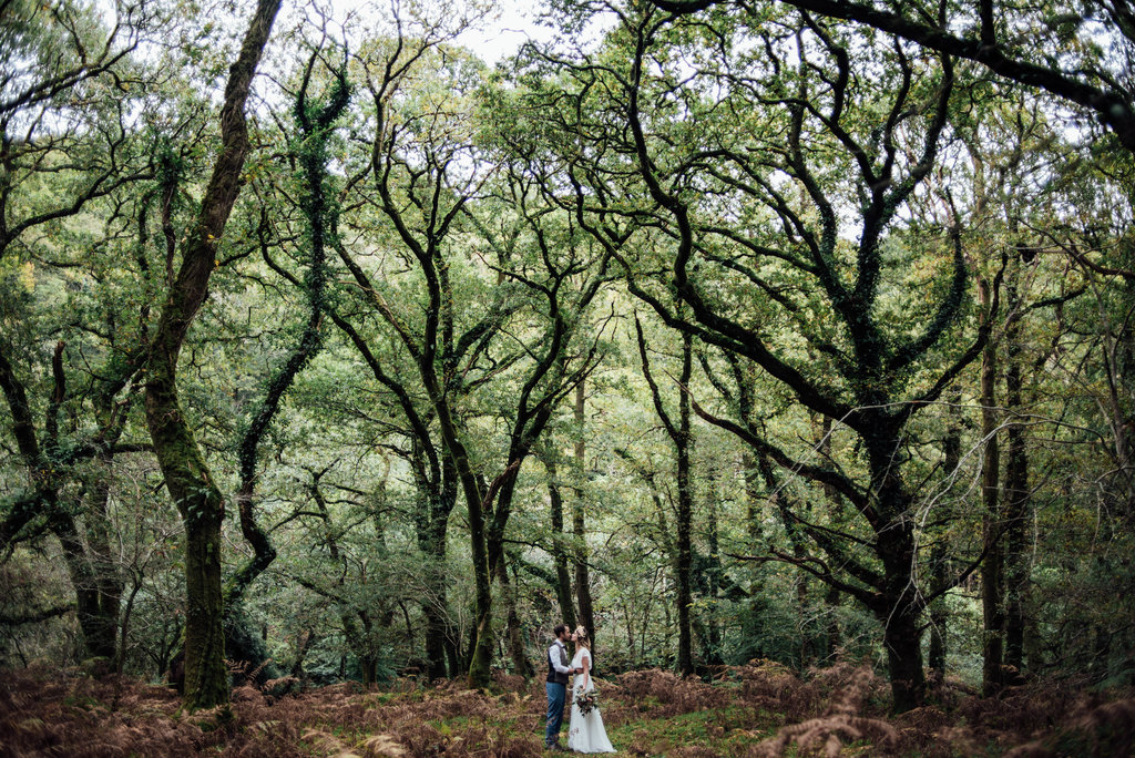 bride groom standing Devon woodland