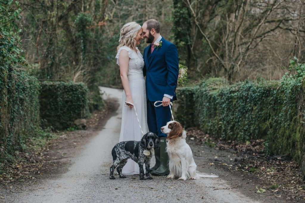 bride and groom and their two spaniel dogs