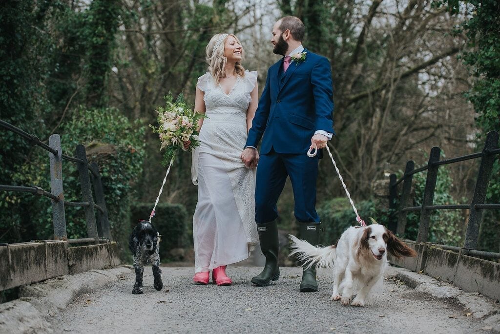 furry friends at ever after spaniels penny and pickle with bride and groom