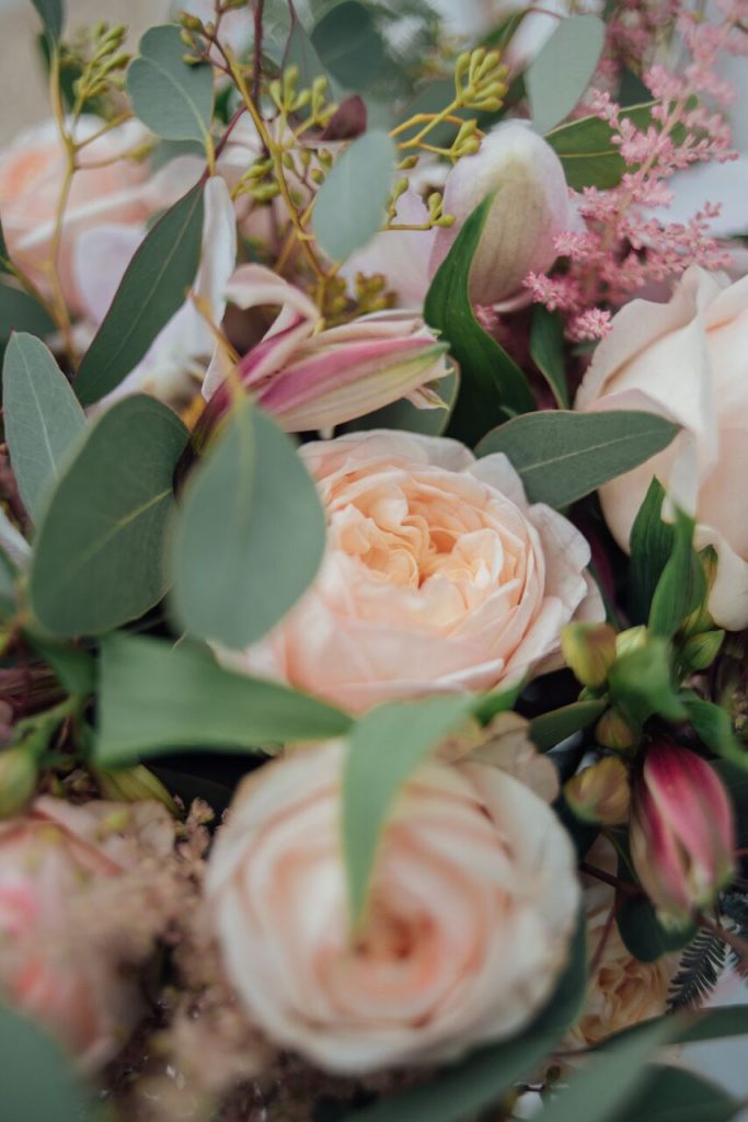 throwback to peach coloured flowers close up