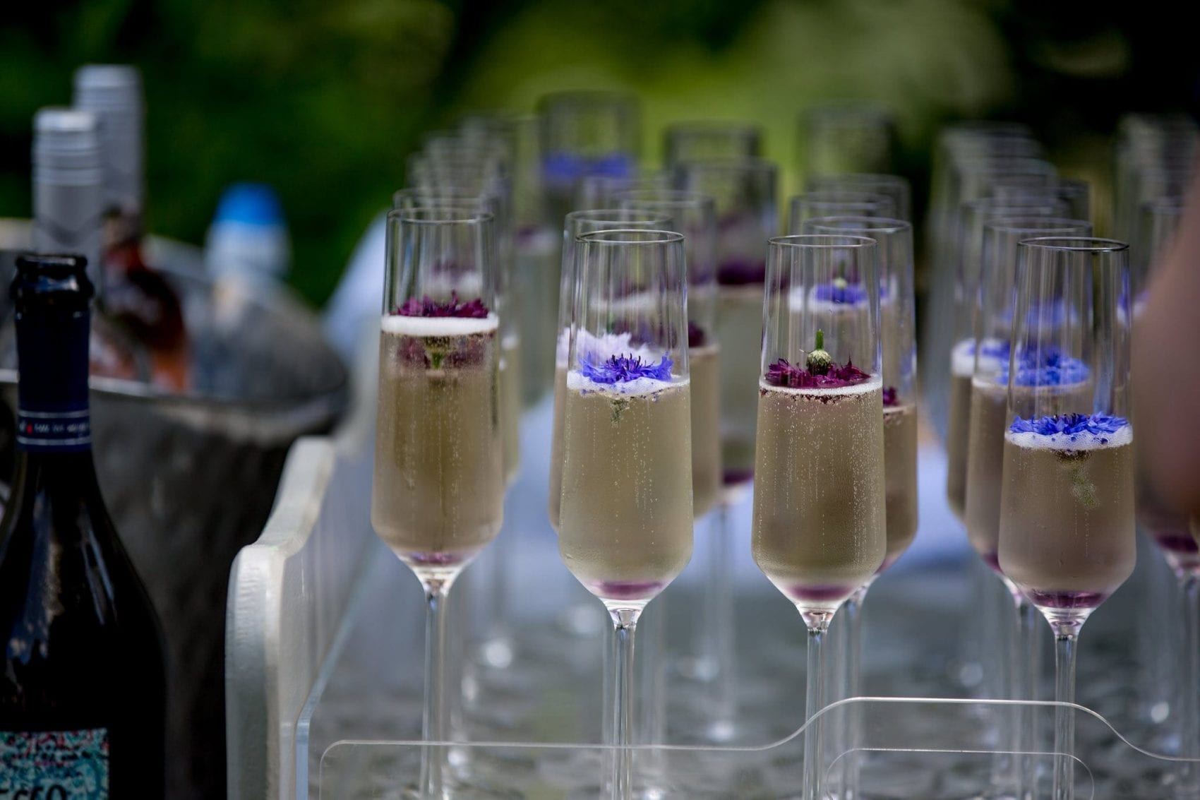 champagne flutes lined up edible flowers