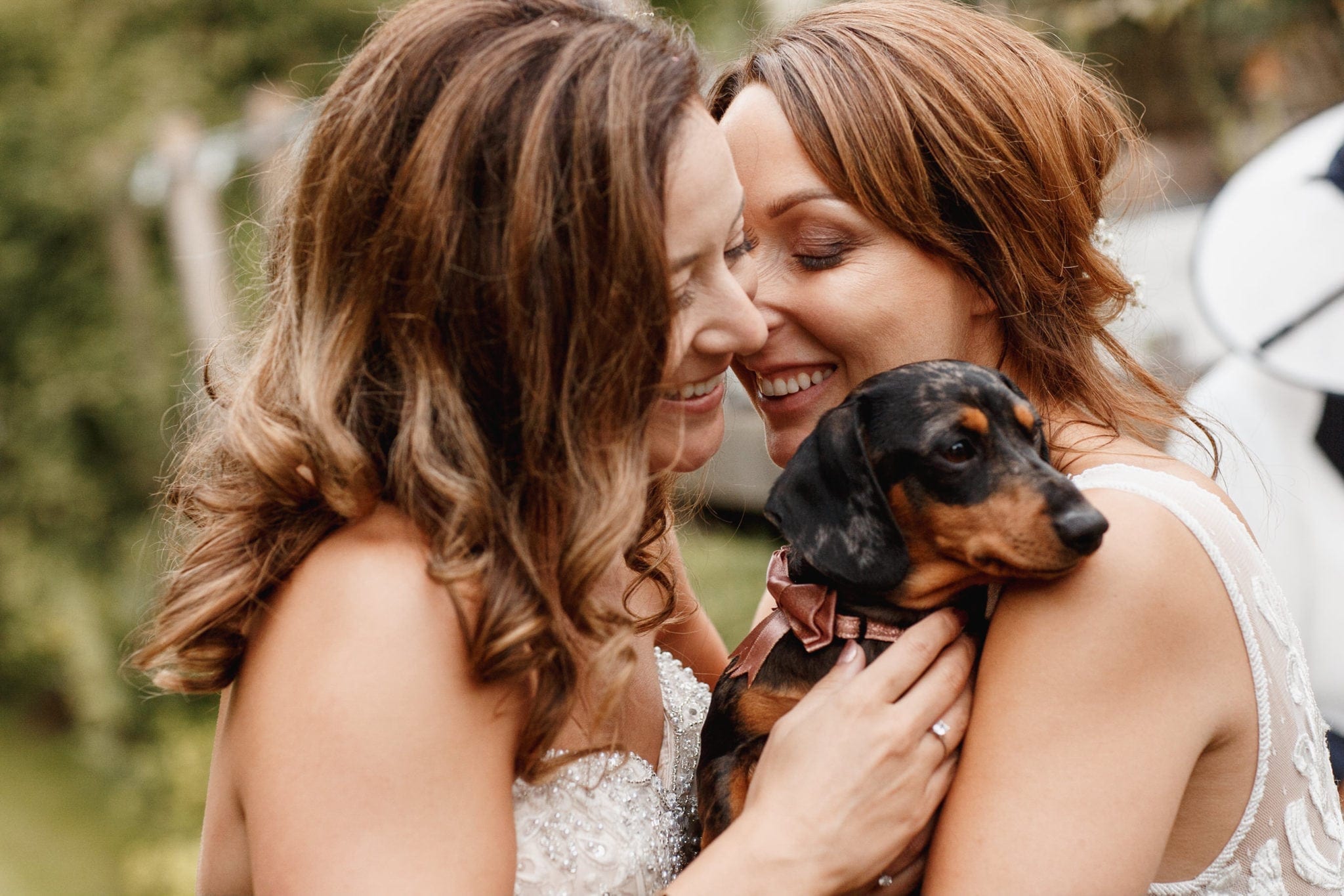 Brides and their dog
