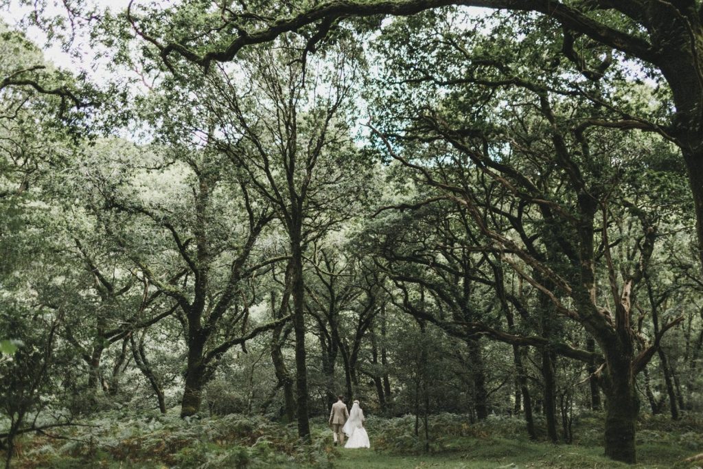 bride and groom hand in hand in grenofen woods